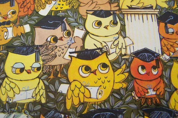 owls